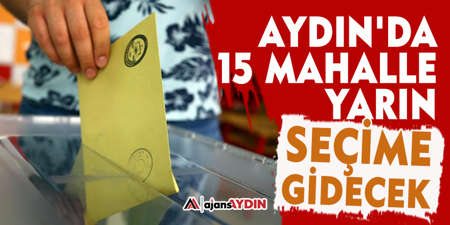 Aydın'da 15 mahalle yarın seçime gidecek