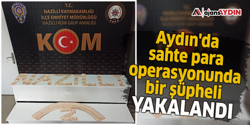 Aydın'da sahte para operasyonunda bir şüpheli yakalandı