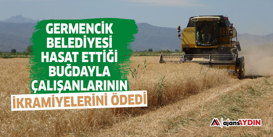 Germencik Belediyesi hasat ettiği buğdayla çalışanlarının ikramiyelerini ödedi