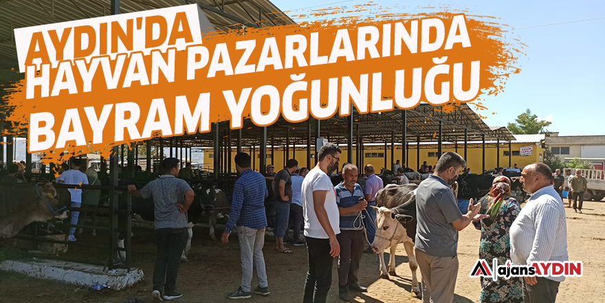 Aydın'da hayvan pazarlarında bayram yoğunluğu