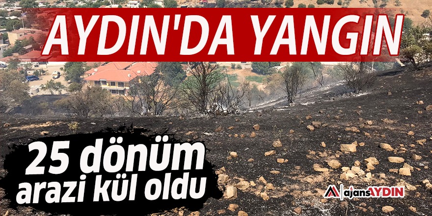 Aydın'da yangın