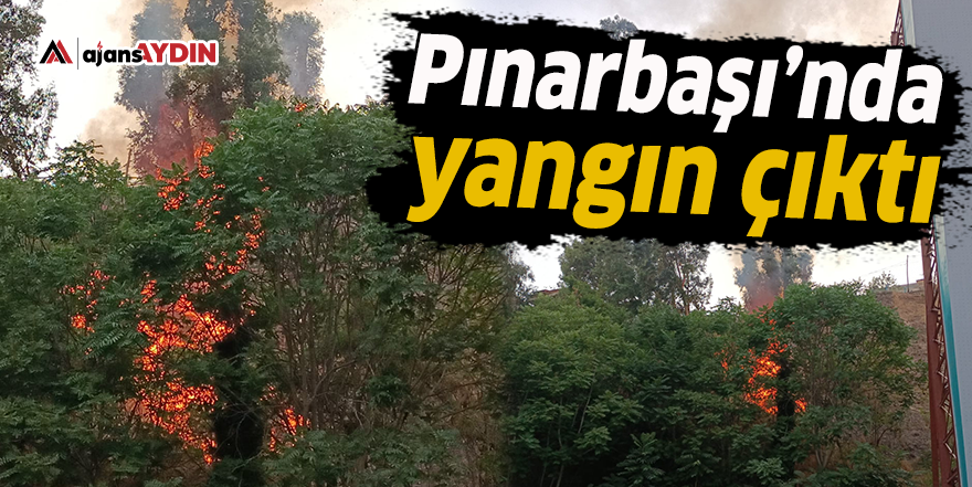 Pınarbaşı'nda yangın çıktı