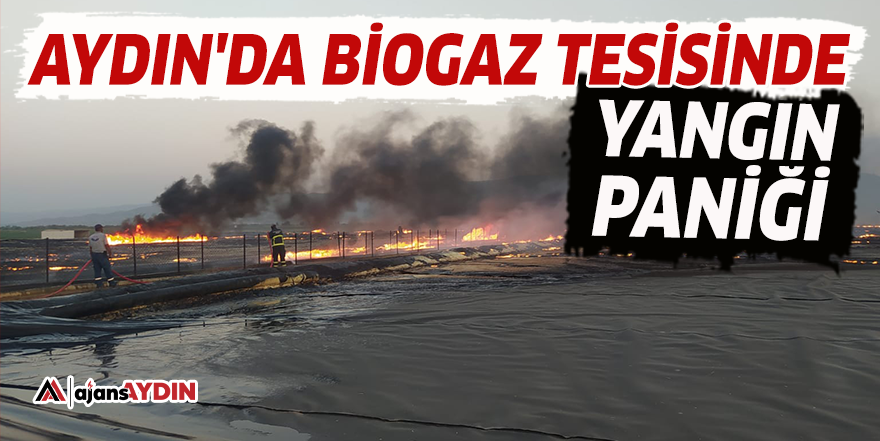 Aydın'da biogaz tesisinde yangın paniği
