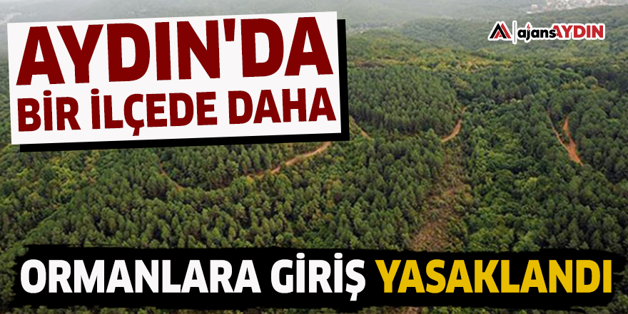 Aydın'da bir ilçede daha ormanlara giriş yasaklandı