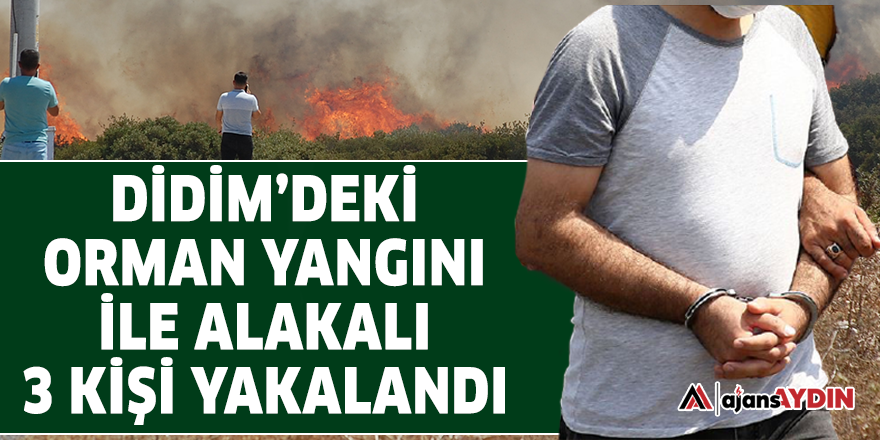 Didim'deki orman yangını ile alakalı 3 kişi yakalandı