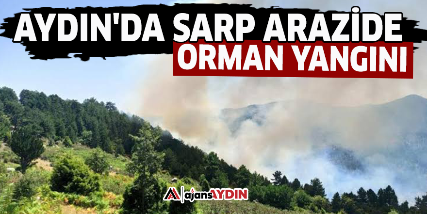 Aydın'da sarp arazide orman yangını