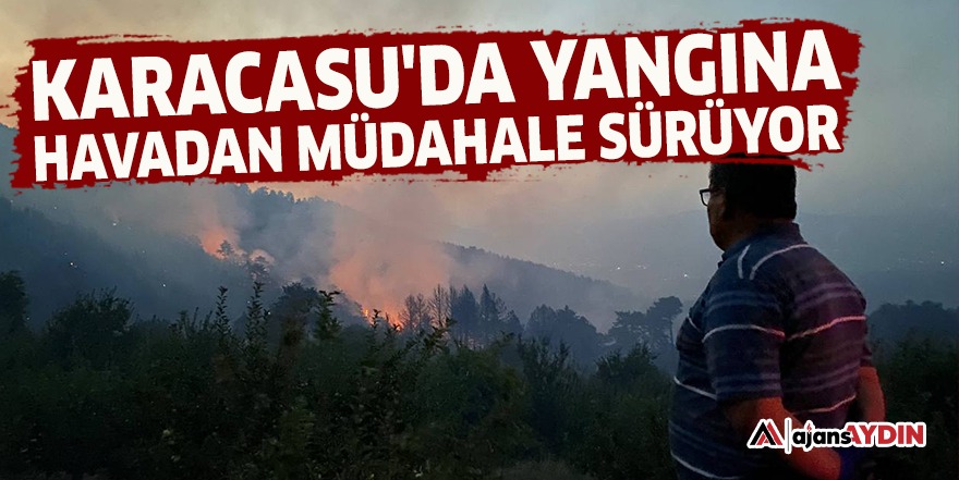 Karacasu'da yangına havadan müdahale sürüyor