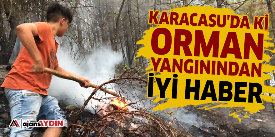 Karacasu'da ki orman yangınından iyi haber