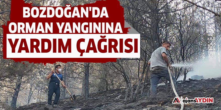 Bozdoğan'da orman yangınına yardım çağrısı