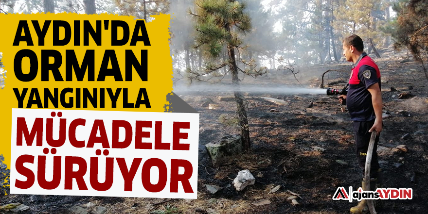 Aydın'da orman yangınıyla mücadele sürüyor