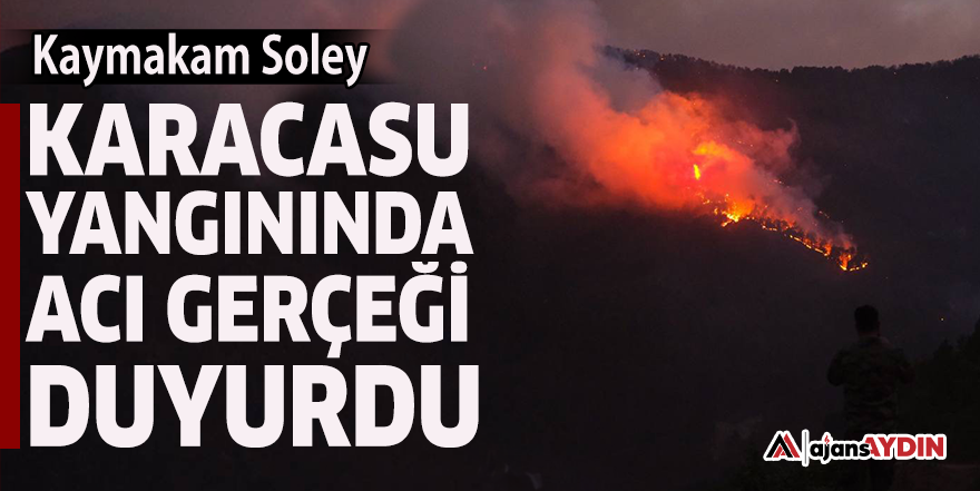 Kaymakam Soley Karacasu yangınında acı gerçeği duyurdu