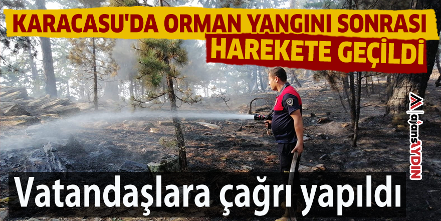 Karacasu'da orman yangını sonrası harekete geçildi