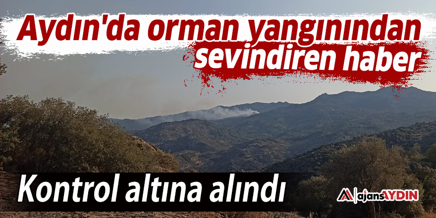 Aydın'da orman yangınından sevindiren haber