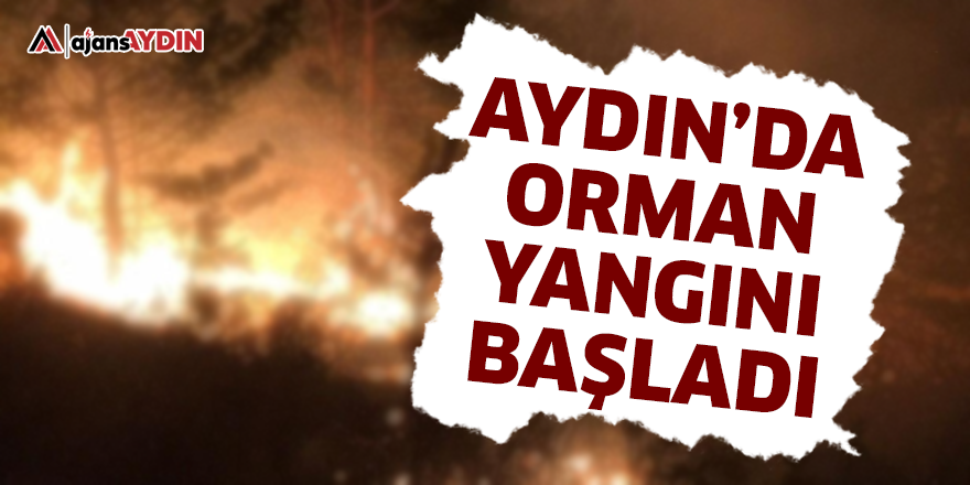 Aydın'da orman yangını başladı