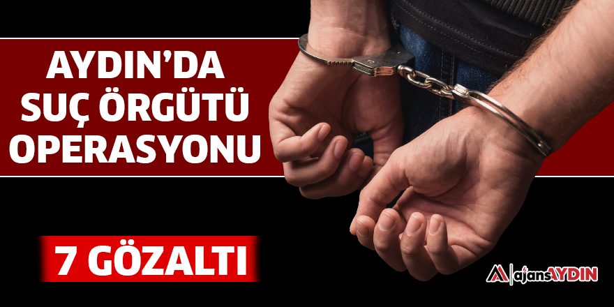 Aydın'da suç örgütü operasyonu