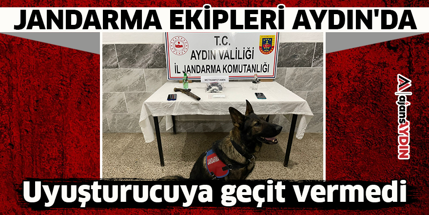 Jandarma ekipleri Aydın'da uyuşturucuya geçit vermedi