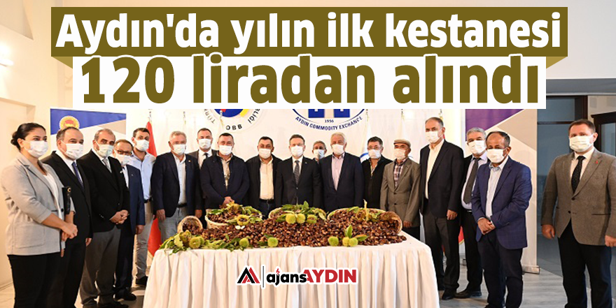 Aydın'da yılın ilk kestanesi 120 liradan alındı