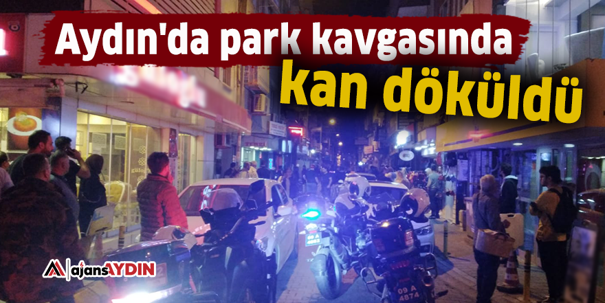 Aydın'da park kavgasında kan döküldü