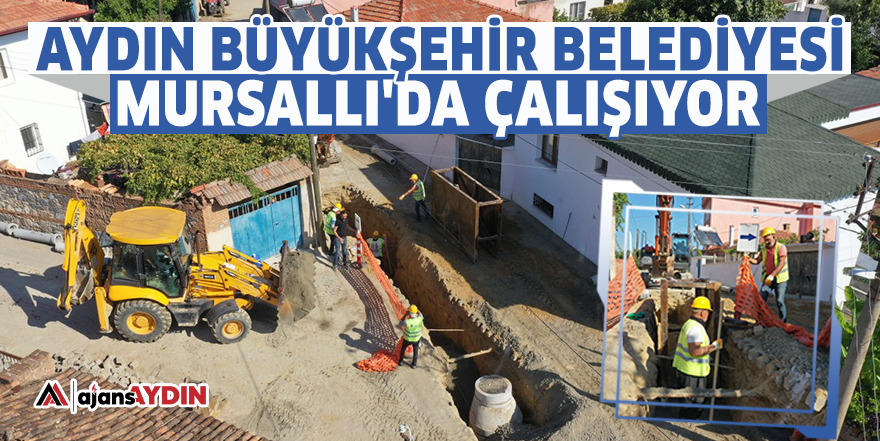 Aydın Büyükşehir Belediyesi Mursallı'da çalışıyor
