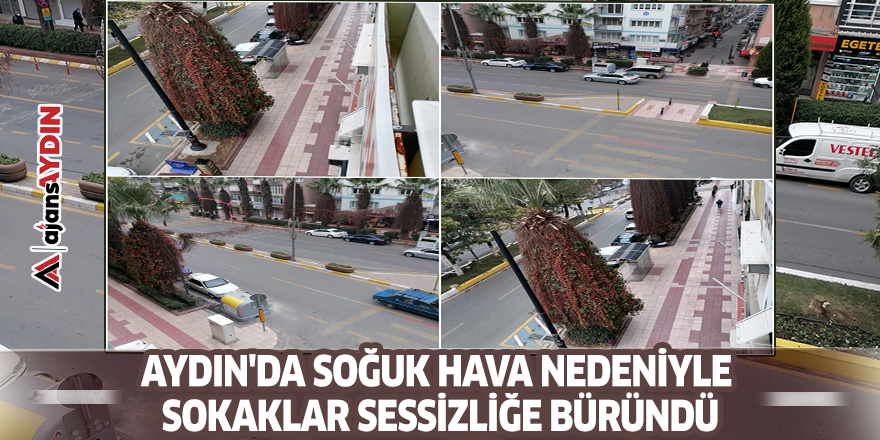 Aydın'da soğuk hava nedeniyle sokaklar sessizliğe büründü