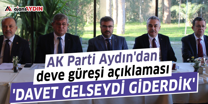 AK Parti Aydın'dan deve güreşi açıklaması