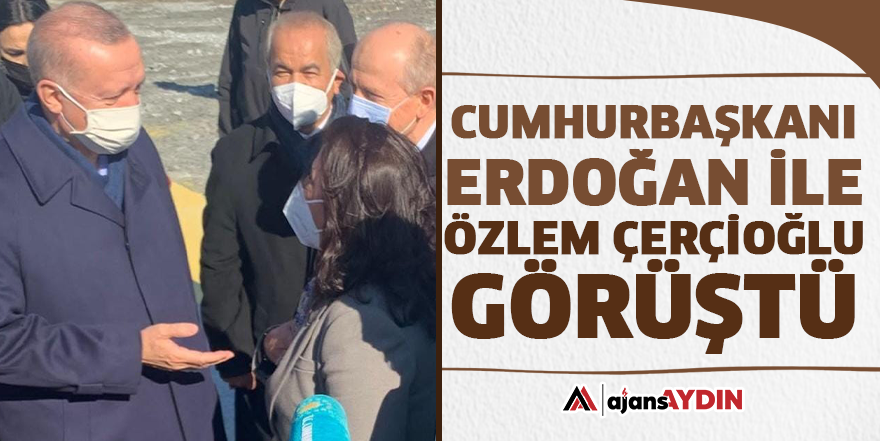 Cumhurbaşkanı Erdoğan ile Özlem Çerçioğlu görüştü