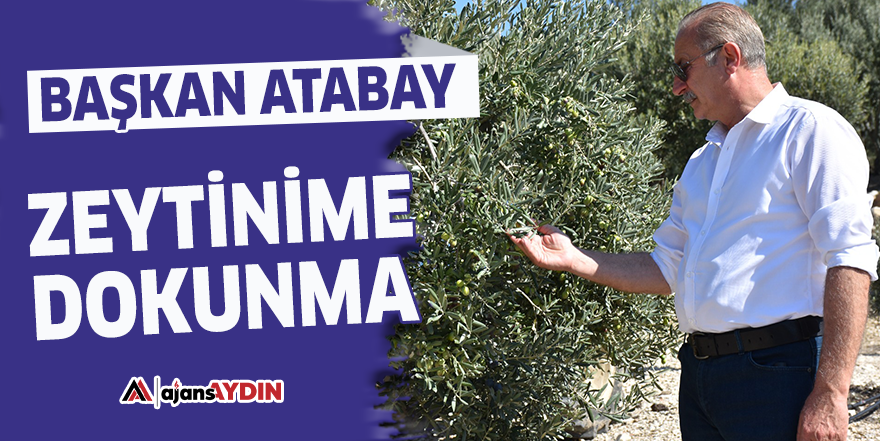 Başkan Atabay: Zeytinime dokunma