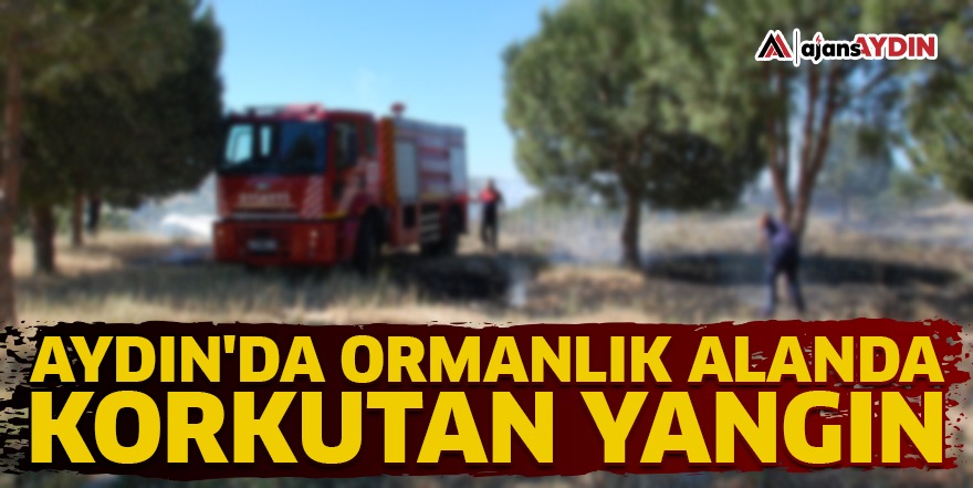 Aydın'da ormanlık alanda korkutan yangın