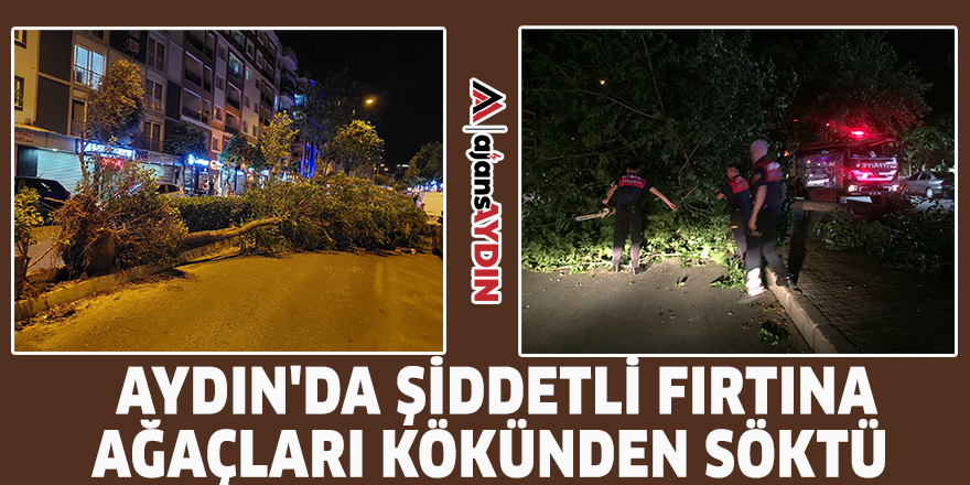 Aydın'da şiddetli fırtına ağaçları kökünden söktü