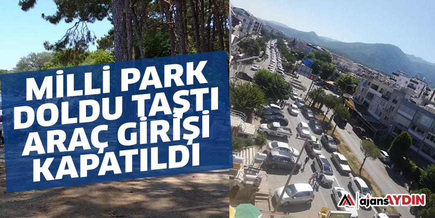 Milli Park doldu taştı araç girişi kapatıldı