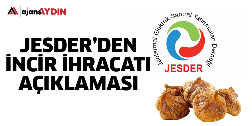 JESDER'den incir ihracatı açıklaması