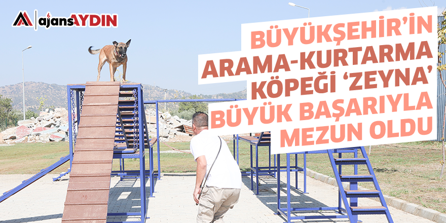 Aydın Büyükşehir Belediyesi’nin Arama-Kurtarma Köpeği ‘Zeyna’ Büyük Başarıyla Mezun Oldu