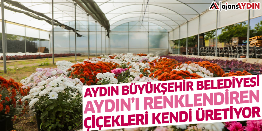 Aydın Büyükşehir Belediyesi Aydın’ı renklendiren çiçekleri kendi üretiyor