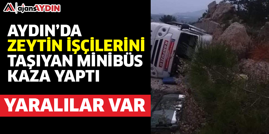 Aydın'da zeytin işçilerini taşıyan minibüs kaza yaptı