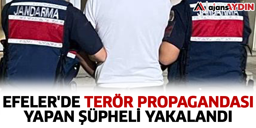 Efeler'de terör propagandası yapan şüpheli yakalandı