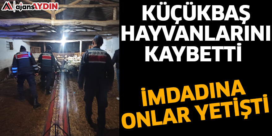 Küçükbaş hayvanlarını kaybetti