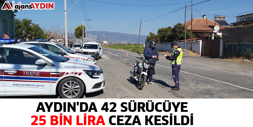 Aydın'da 42 sürücüye 25 bin lira ceza kesildi