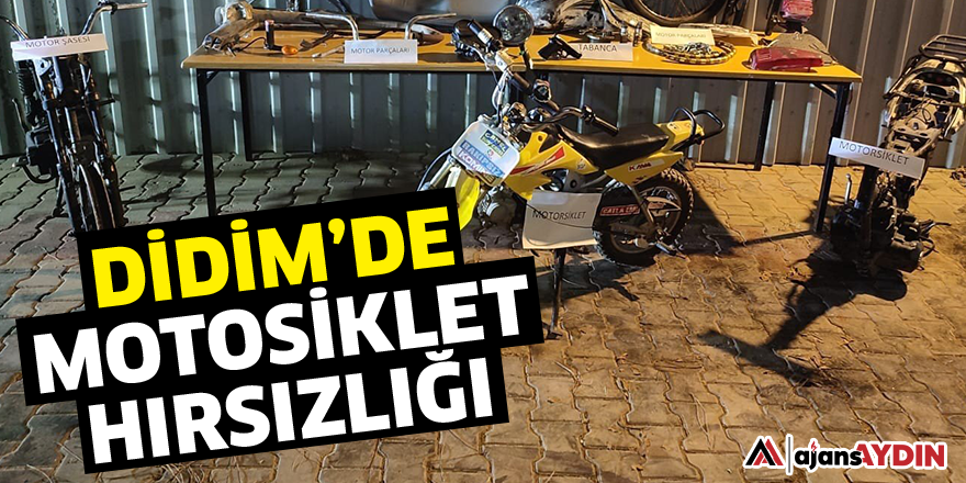 Didim'de motosiklet hırsızlığı