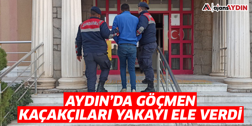 Aydın'da göçmen kaçakçıları yakayı ele verdi