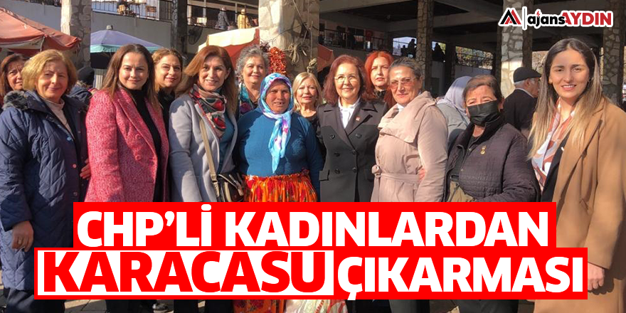CHP'li kadınlardan Karacasu çıkarması