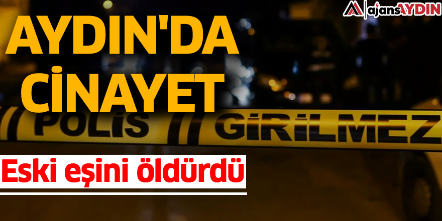 Aydın'da cinayet