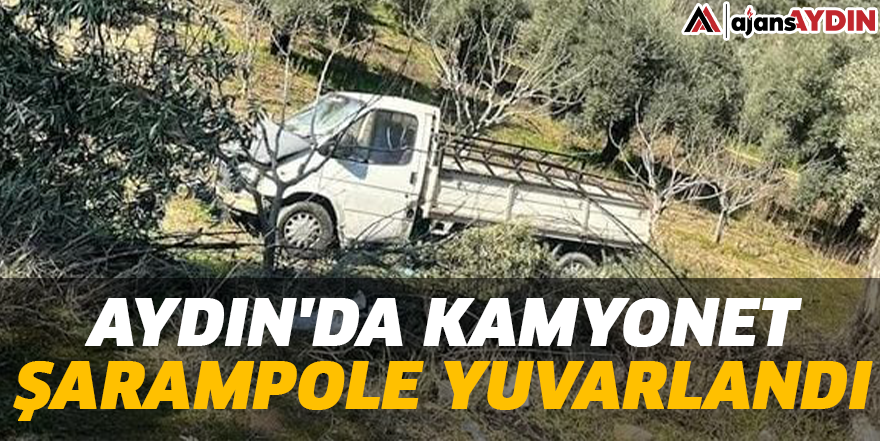 Aydın'da kamyonet şarampole yuvarlandı
