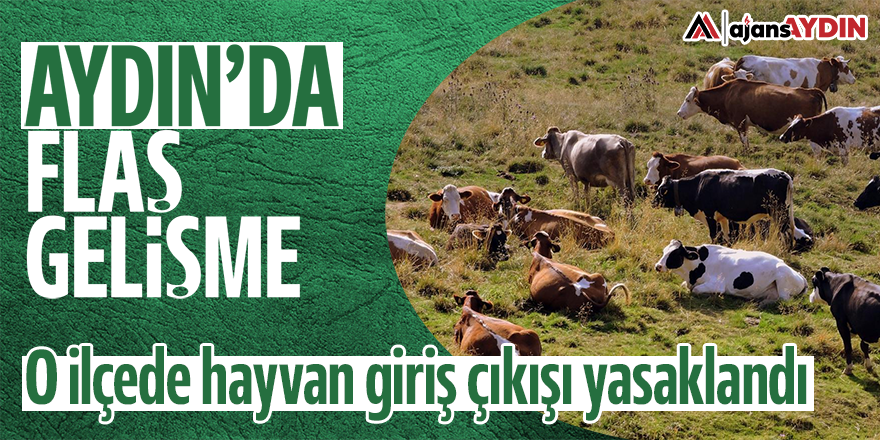 Aydın'da flaş gelişme: O ilçede hayvan giriş çıkışı yasaklandı