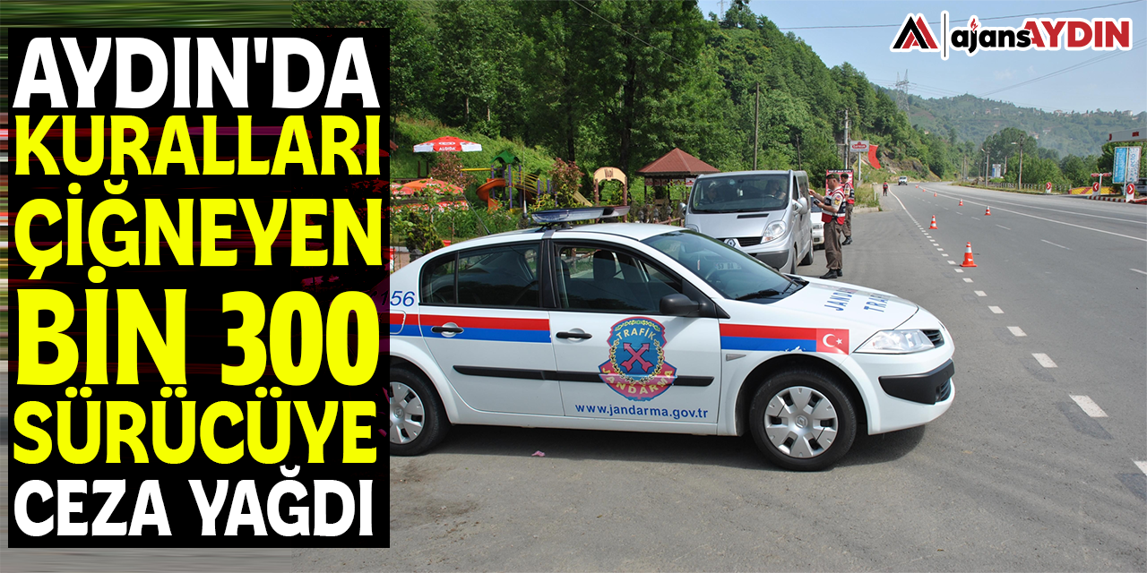 Aydın'da kuralları çiğneyen bin 300 sürücüye ceza yazıldı