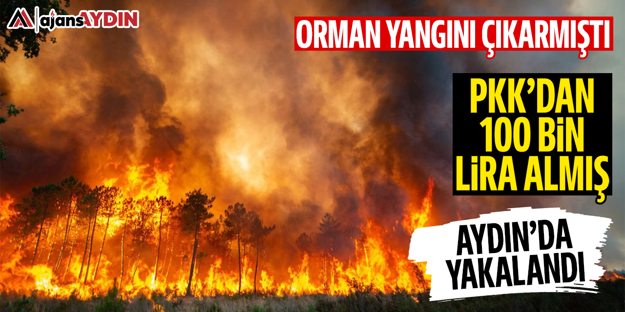 Orman yangını çıkarmıştı: Aydın'da yakalandı! PKK'dan 100 bin lira almış