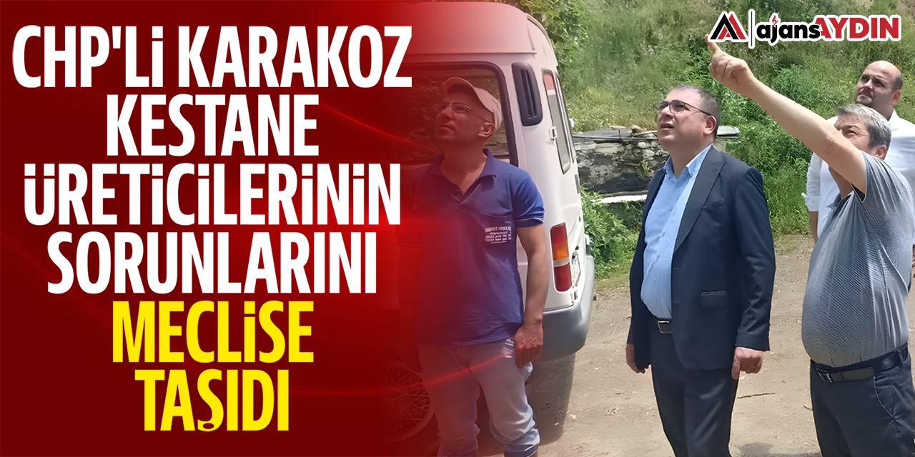 CHP'li Karakoz mestane üreticilerin sorunlarını meclis gündemine taşıdı