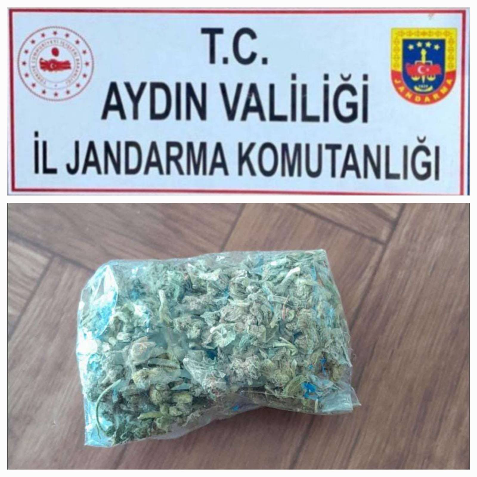 Aydın'da yolcu otobüsünde uyuşturucu ele geçirildi