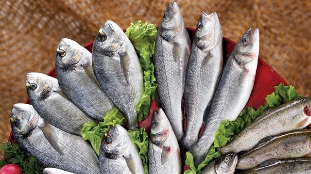 Aralık ayının en lezzetli balığı hangisi? Taze balık nasıl anlaşılır?
