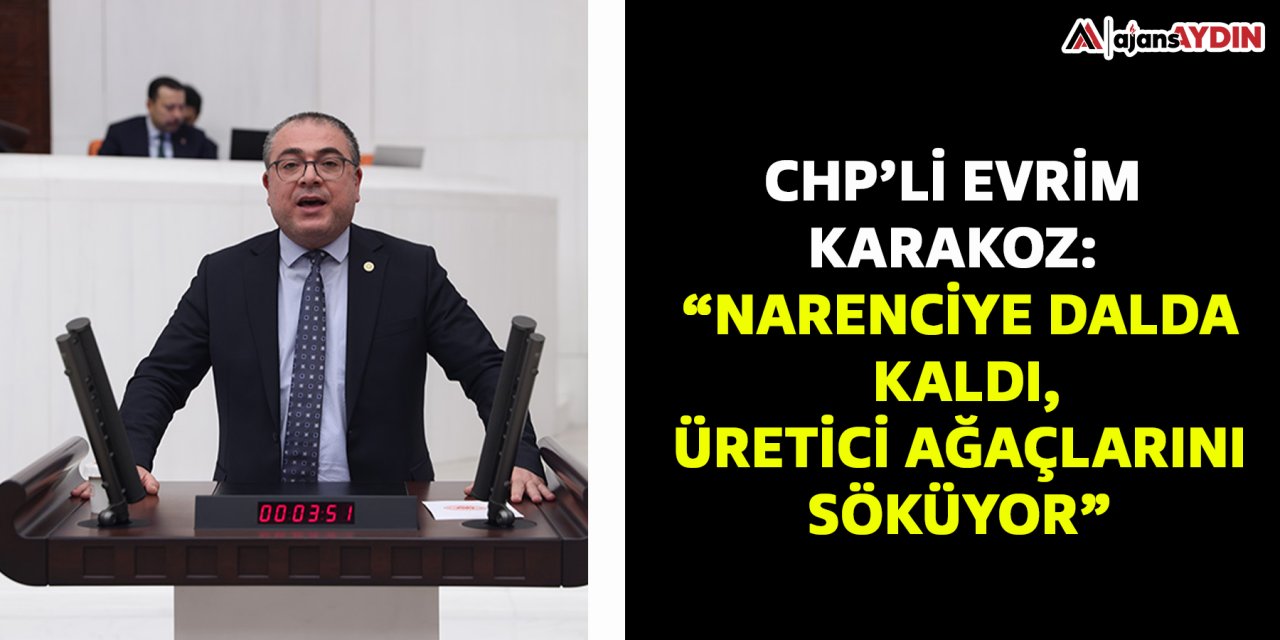 CHP’li Evrim Karakoz: “Narenciye dalda kaldı, üretici ağaçlarını söküyor”