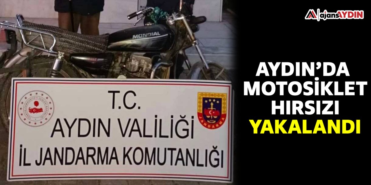Aydın’da motosiklet hırsızı yakalandı
